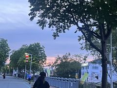-光明小镇欢乐田园