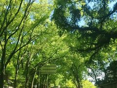 -上海崧泽遗址博物馆