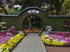 -汇龙潭