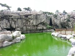 android_upload_pic-中国唐苑