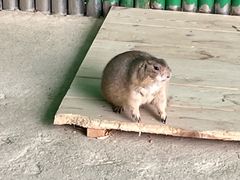 -杭州野生动物世界
