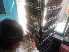-猫咪博物馆(顶澳仔猫街店)