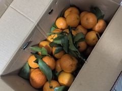 -袁山山重庆火锅(丈八北路店)