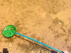 -南京市无想山景区