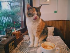 -隅cafe(傅厚岗店)