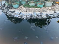 -八景休閒山莊  廣東十大名山莊