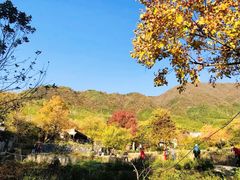 -塔川景区