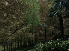-黄兴公园