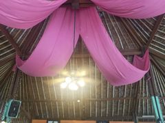 -Onion restaurant