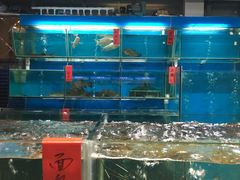 -海大大蒸汽海鲜餐厅·粤菜·特色小炒(欢乐颂店)