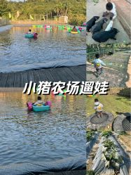 -阿菠萝小猪农场·萌宠乐园·亲子游·研学