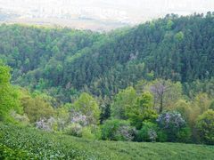 -敬亭山风景名胜区