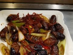 炒蚕蛹-腾格勒烤羊腿