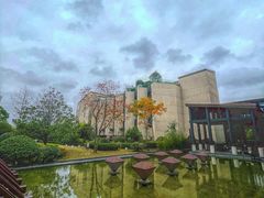 -上海崇明金茂凯悦酒店