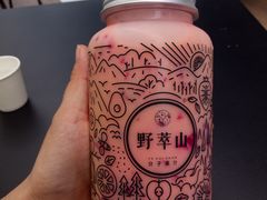 -野萃山·潮汕厚果汁(十亩地店)