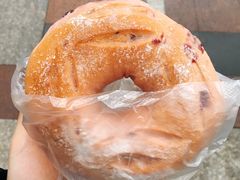 蔓越莓乳酪-华丰贺氏(福新西路店)