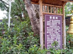 -西双版纳傣族园