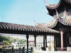 -八大山人梅湖景区