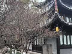 -宁波九龙湖开元度假村