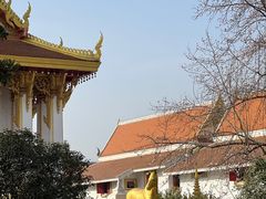 -洛阳白马寺