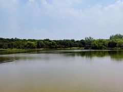 -江苏三台山国家森林公园