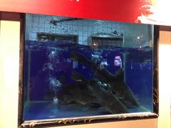 -老阿爸鲜鱼土菜(昆山花桥店)