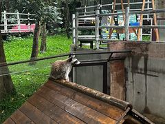-呀诺达热带雨林