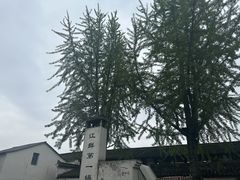 -东梓关景区村庄
