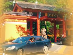 -东天目山风景区