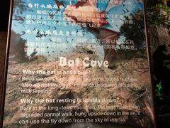-游龙石文化科普馆