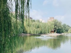 -莲湖公园