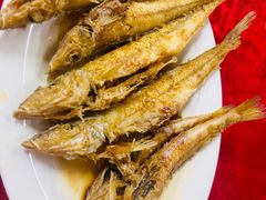 -蛇口康乐快餐鱼仔档(翠苑小区店)