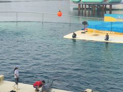 -秦皇岛乐岛海洋王国