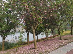 -星巴克(成都科学城店)