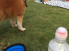 -栖露营camping·天幕烧烤·团建拓展·采摘营地