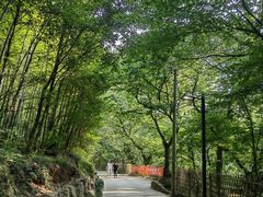 -虞山风景区