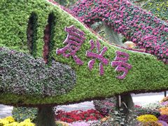 -杭州植物园