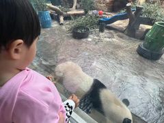 -石家庄市动物园