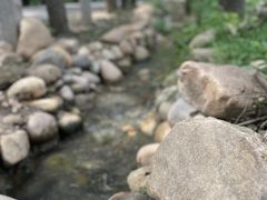 -林间山庄