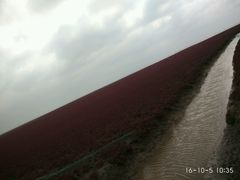 -红海滩国家风景廊道