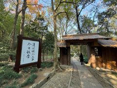 -兰亭风景区