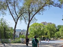 -鲤鱼山公园