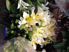 盛世荣兰花艺-盛世荣兰花艺