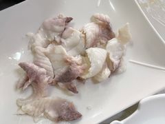 -源港渔村-中山脆肉鲩(博罗店)