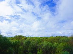 -御道口草原森林风景区