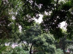 -成都市活水公园