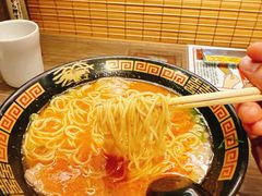 豚骨拉面-一兰拉面(新宿中央东口店)