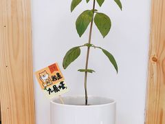 -呷贺盐酥鸡(抄纸巷店)