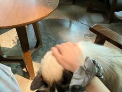 -咖法森林·咖啡  酒吧(天河店)