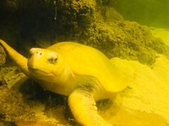 -苏州海洋馆